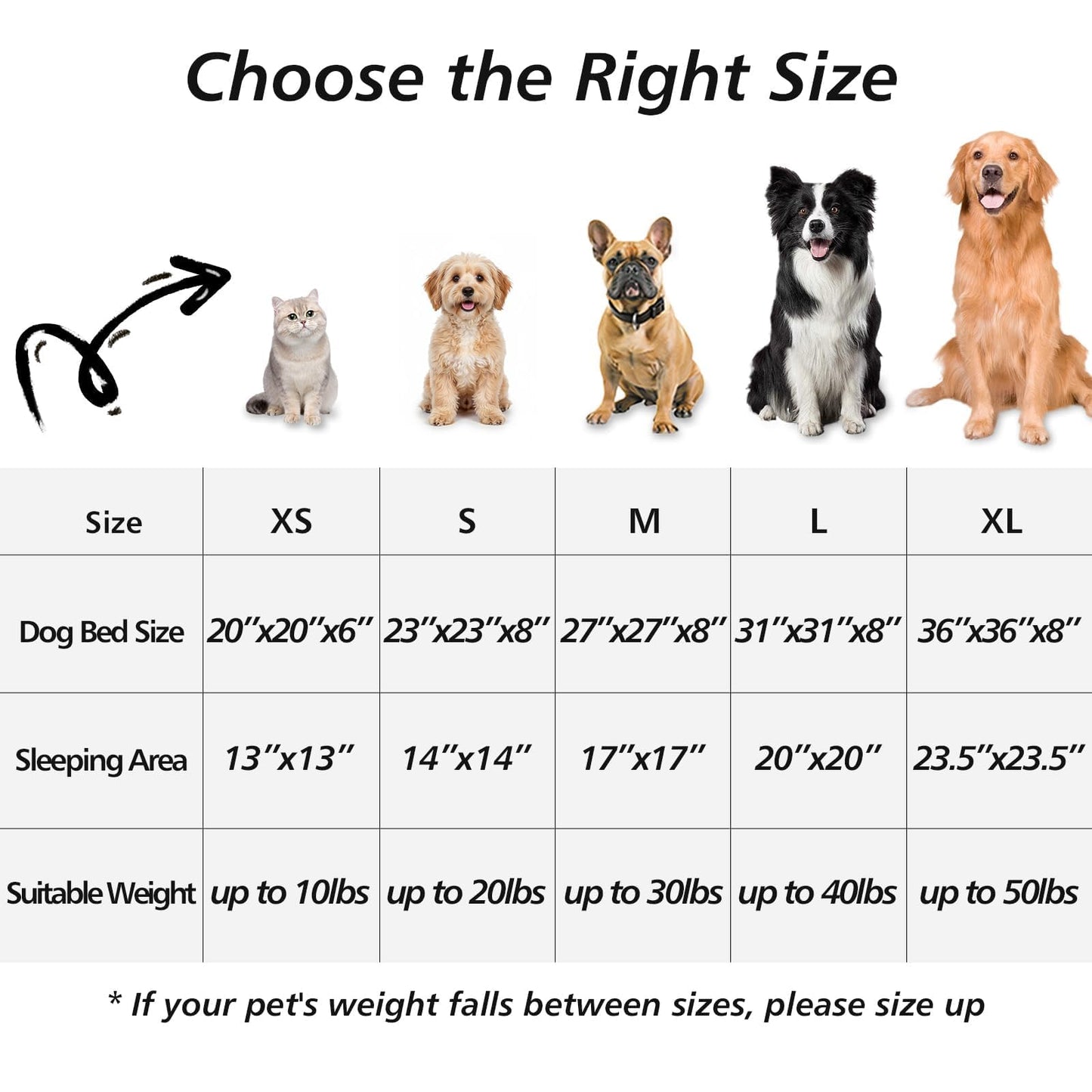 Feerway™ Donut Cuddler Bed – 20" | Calming Round Plush Bed for Small Dogs & Indoor Cats (Smoke Grey)