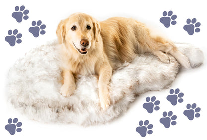 Feerway™ Orthopedic Dog Bed | Large/XL Memory Foam Bed with Fluffy Faux Fur Cover, Waterproof Lining & Washable Design (White with Brown Accents)