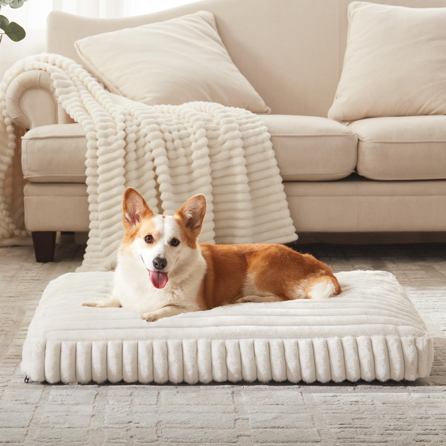 Feerway™ Large Dog Bed | 35" × 23" Flat Pet Mat with Thick Shredded Foam, Removable Washable Cover & Anti-Slip Bottom (Cream)