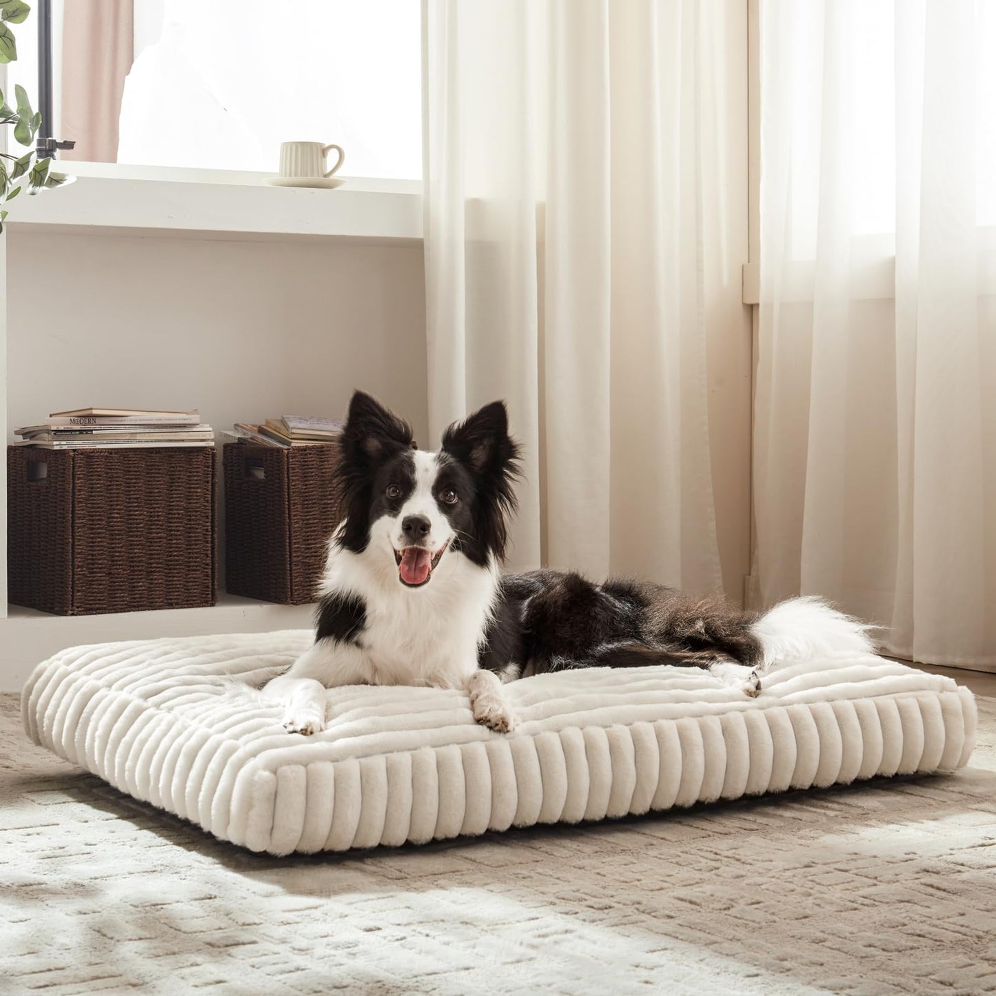 Feerway™ Large Dog Bed | 35" × 23" Flat Pet Mat with Thick Shredded Foam, Removable Washable Cover & Anti-Slip Bottom (Cream)