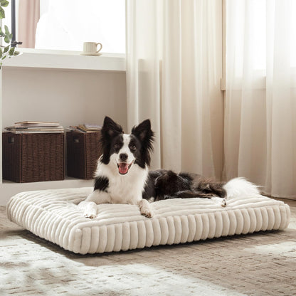 Feerway™ Large Dog Bed | 35" × 23" Flat Pet Mat with Thick Shredded Foam, Removable Washable Cover & Anti-Slip Bottom (Cream)