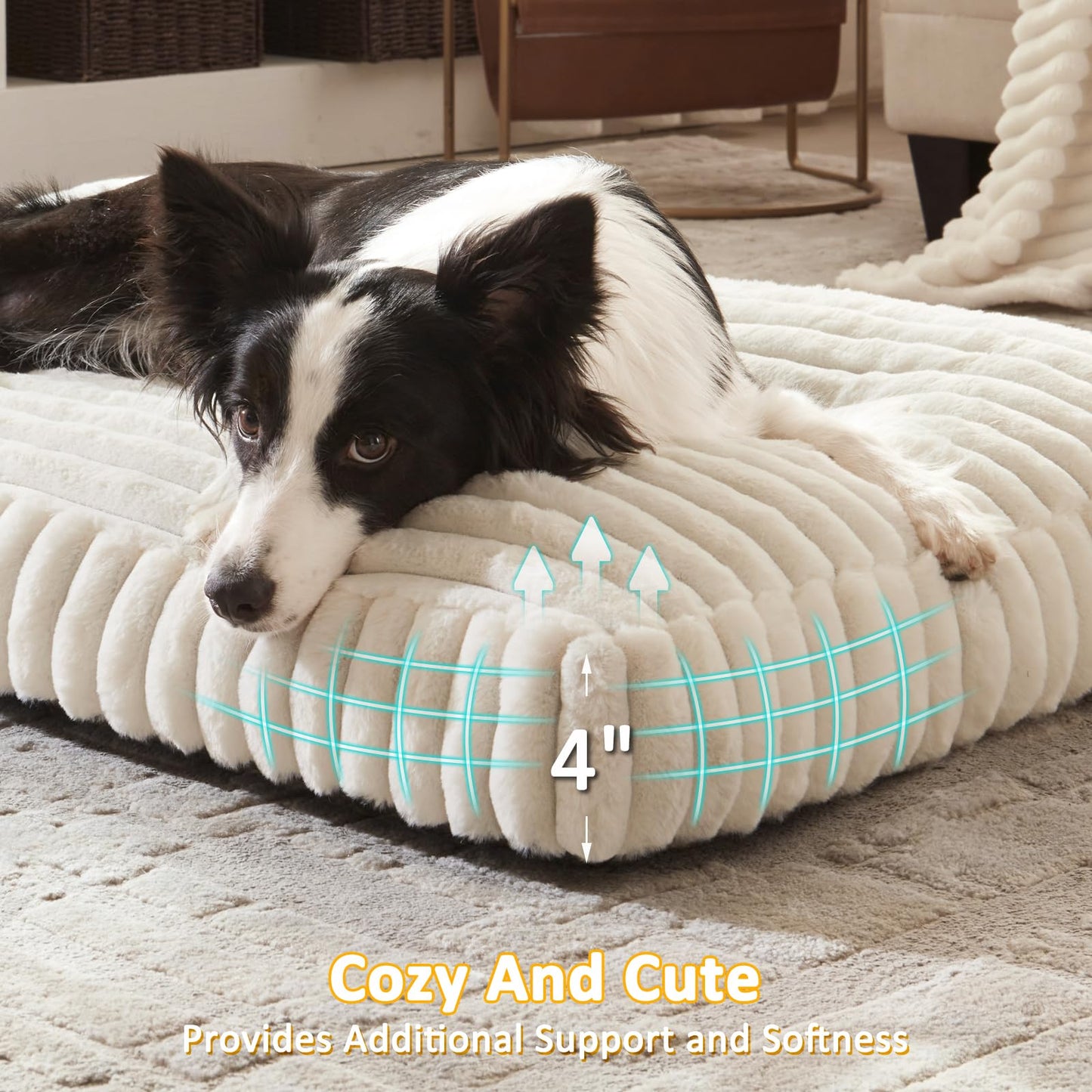 Feerway™ Large Dog Bed | 35" × 23" Flat Pet Mat with Thick Shredded Foam, Removable Washable Cover & Anti-Slip Bottom (Cream)